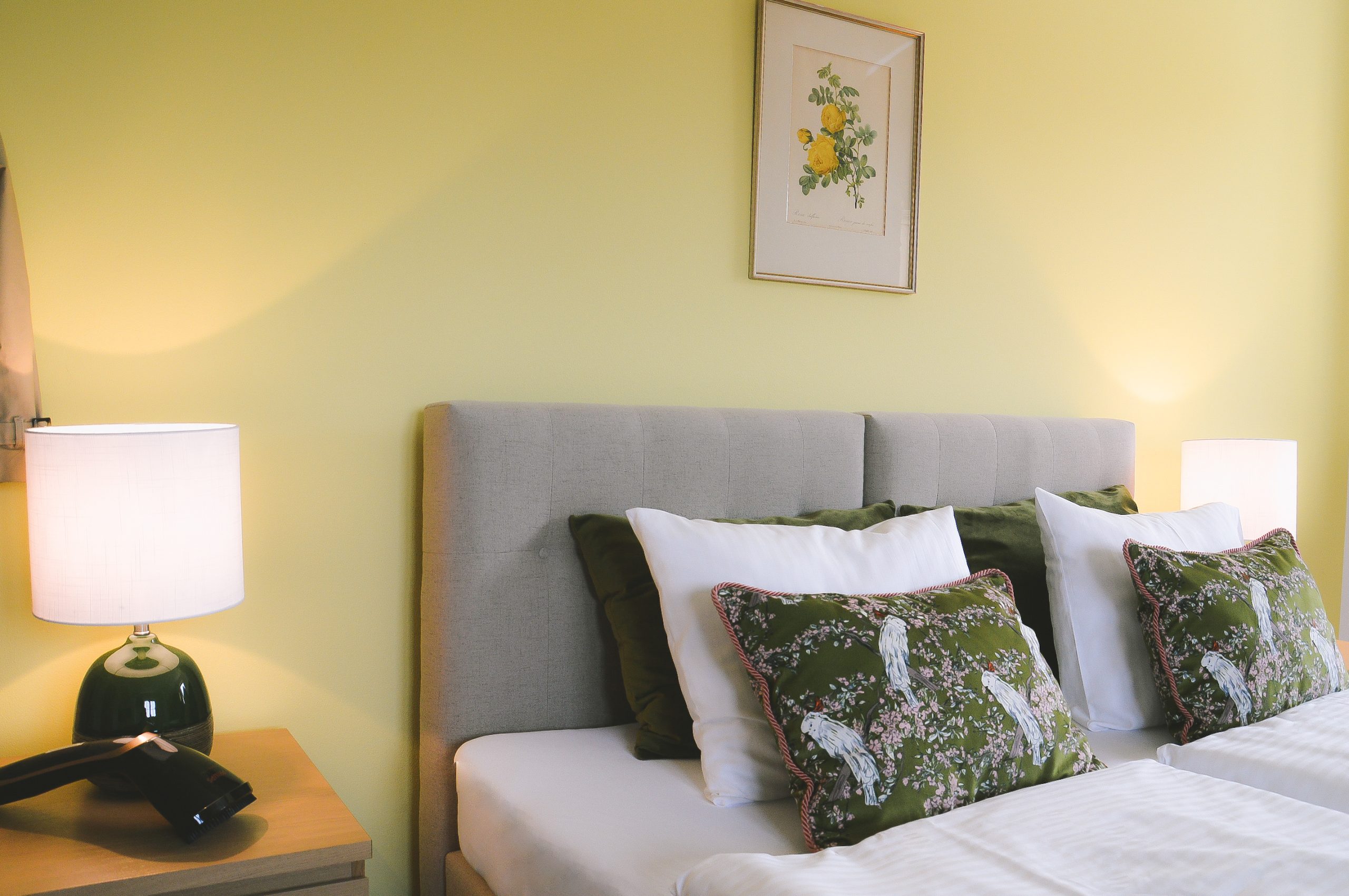 Poduszki w papugi, zielony sielski apartament, stylowe meble, nowoczesność połączona z antykami, noclegi w Górach