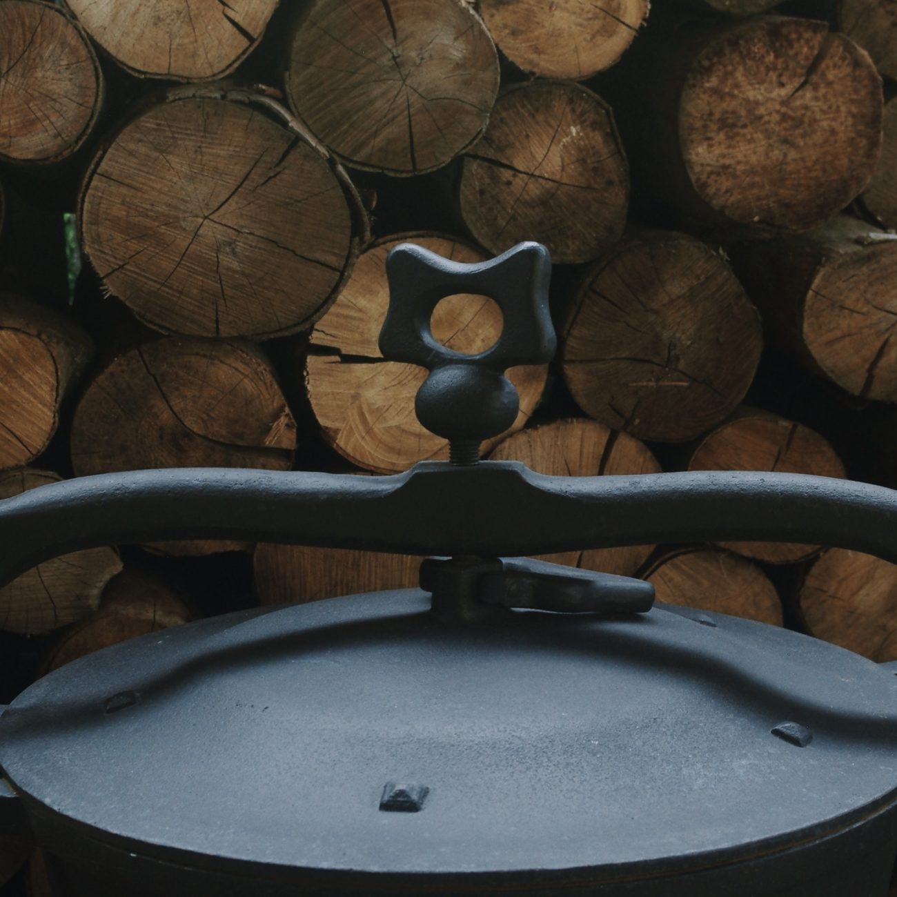 Żeliwny piec przed stosami drewna, Apartamenty Agroturystyczne Papiernia, noclegi w górach