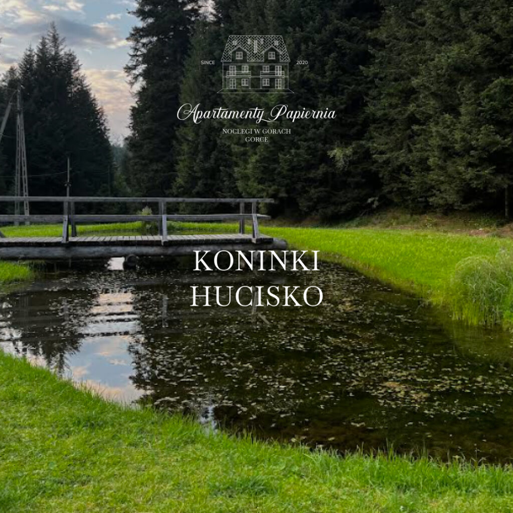 Aktywności Gorce, Koninki Hucisko- Apartamenty Agroturystyczne Papiernia