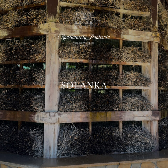 Park Hrabiów Wodzickich w Niedźwiedziu, Tężnia Solankowa