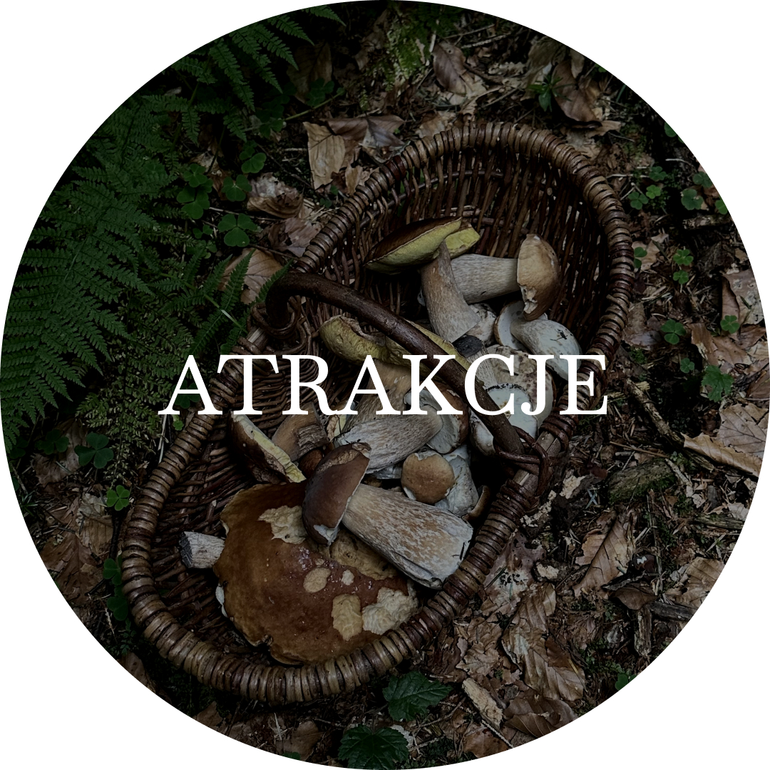 Atrakcje