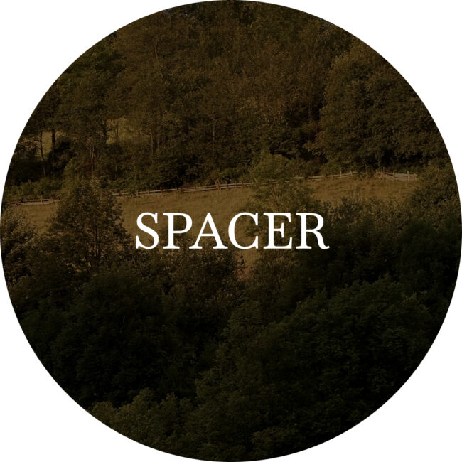 Najciekawsze Spacery w Gorcach