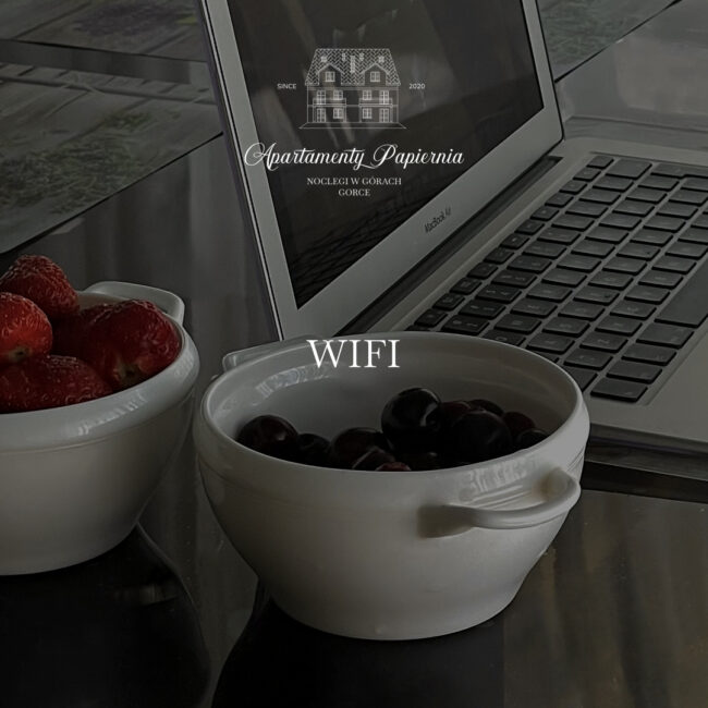 W ofercie Apartamenty Papiernia, noclegi w górach Gorce - wifi