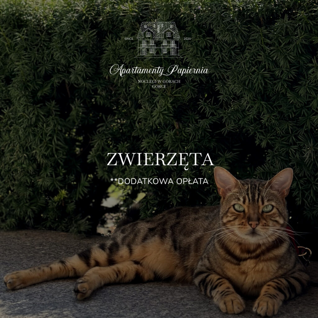 W ofercie Apartamenty Papiernia, noclegi w górach Gorce - zwierzęta. Pobyt w Gorcach