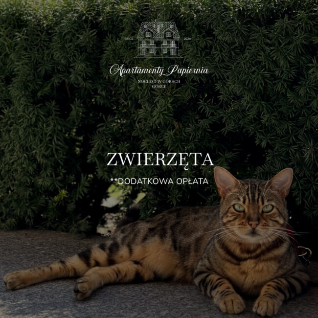 W ofercie Apartamenty Papiernia, noclegi w górach Gorce - zwierzęta. Pobyt w Gorcach