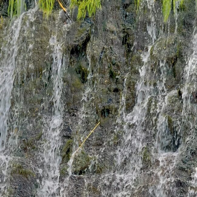 Tama Porębianka, Apartamenty Agroturystyczne Papiernia