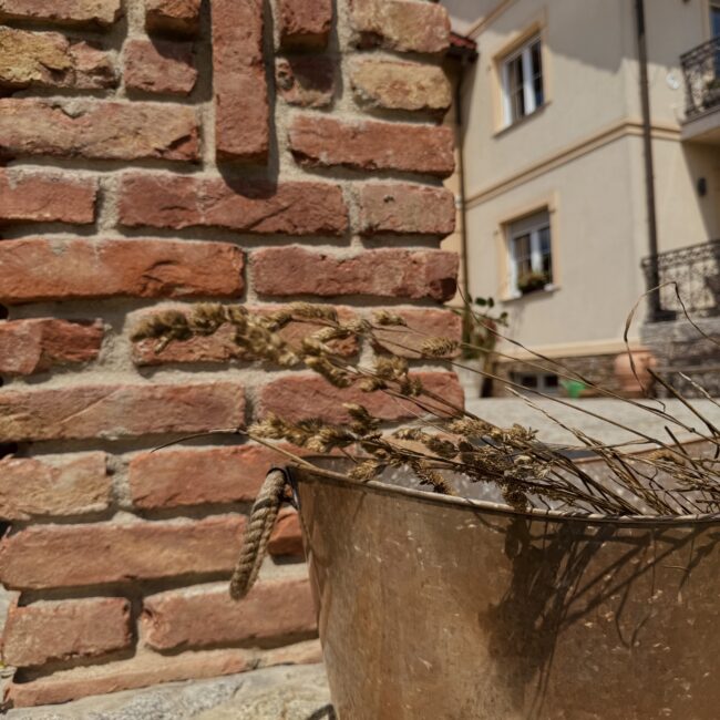 Wiejski urok Apartamentów Agroturystycznych Papiernia z otoczeniem wiaty i pól, idealne na spokojny wypoczynek w Górach.