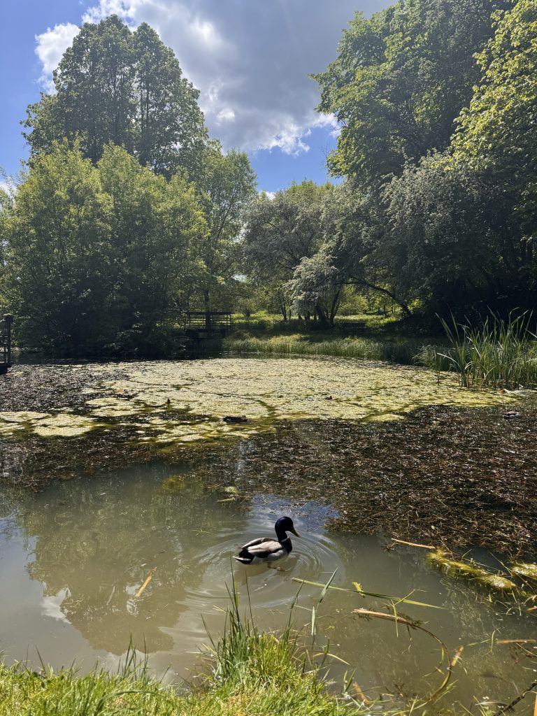 park